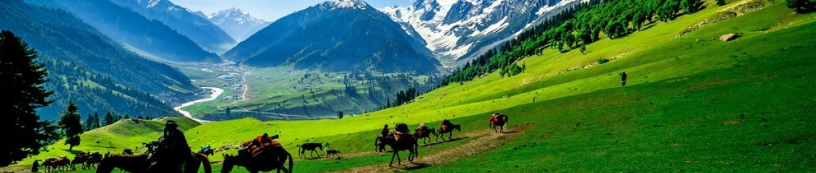 Cultural Experiences in Kashmir You Must Try in 2026